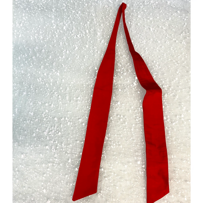 Cravatta a nastro per bambini rossa