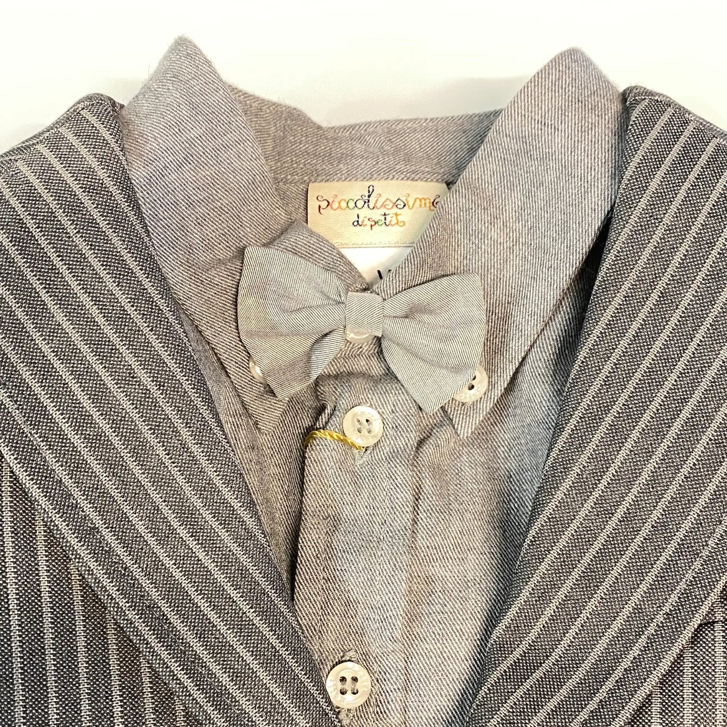 Papillon bimbo esempio di abbinamento