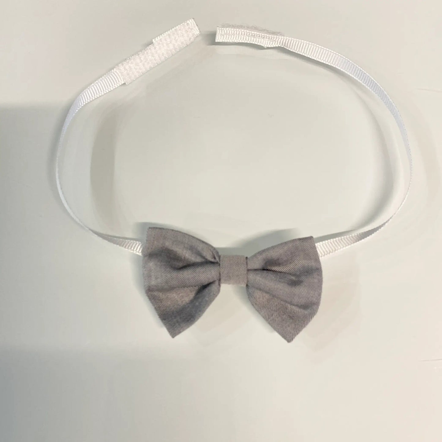 Papillon bimbo grigio chiaro