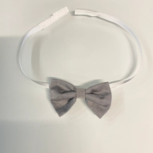 Papillon bimbo grigio chiaro