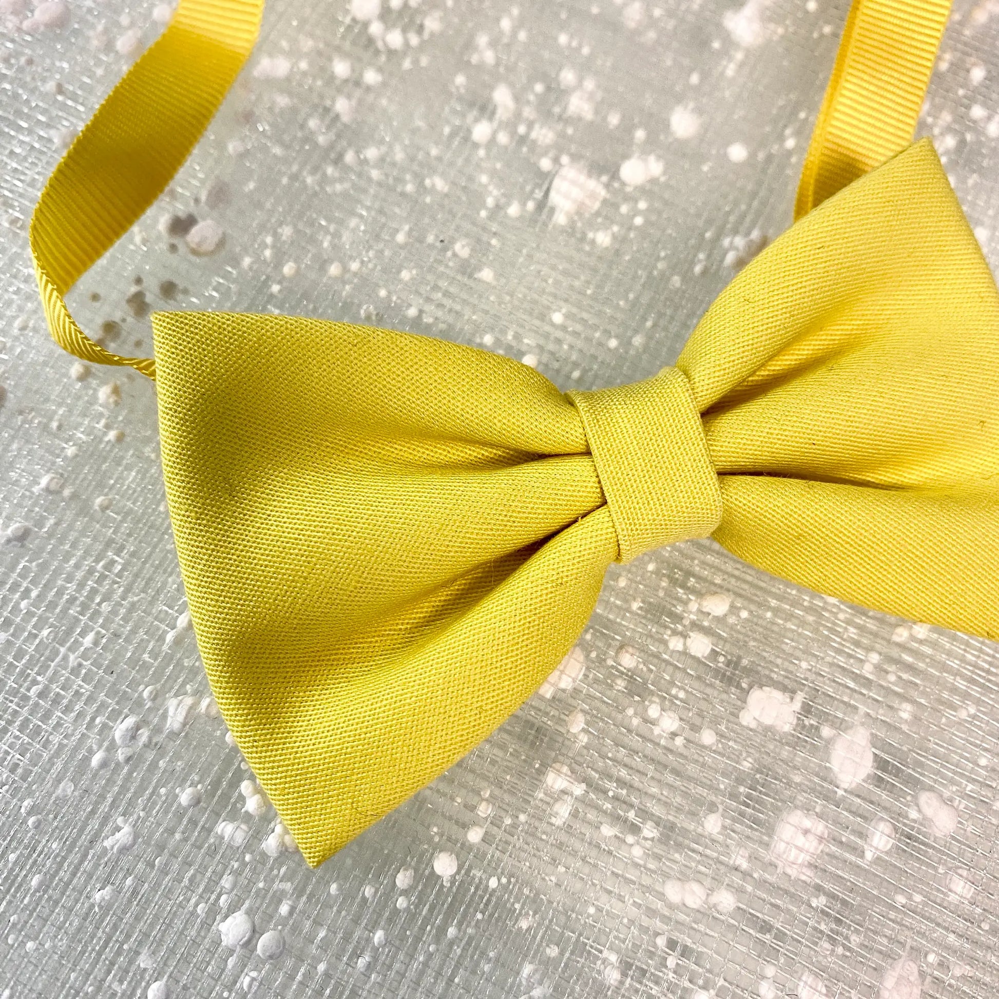 Papillon giallo per bambino pre-annodato